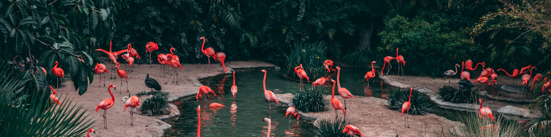 湖南君俞国际旅行社有限公司